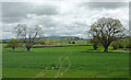 Farmland north of Dilwyn, Herefordshire