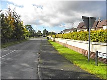 H5367 : Dervaghroy Road, Beragh by Kenneth  Allen