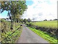 Rectory Avenue, Laragh and Clogherny Glebe Lower