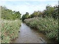SO9161 : A narrow canal further narrowed by Christine Johnstone