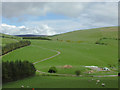 Hill pasture south-west of New Radnor, Powys