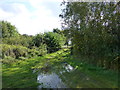 Rye Meads Nature Reserve