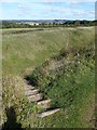 ST9603 : Shapwick: steps into the ditch at Badbury Rings by Chris Downer