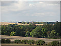 West from Fleam Dyke