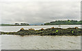 V9354 : Seals on rocks off Garinish Island by Ben Brooksbank