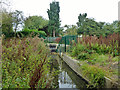 The Yeading Brook goes underground