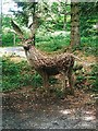 Deer Sculpture