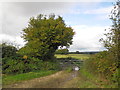 Gate in Holtham