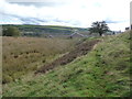 Field edge path approaching Tredegar