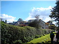 View of the rear of houses on Mornington Road from the path from Epping Forest