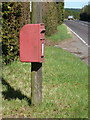 Iwerne Minster: postbox № DT11 160, Iwerne Hill