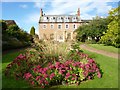 Garden at Learning South West, Bishops Hull House