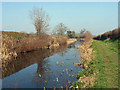 Montgomery Canal near Arddleen/Arddlin