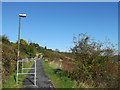 Footpath to Heron Way, Princes Park