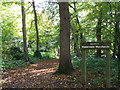 Entrance to Walderslade Woods