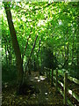 Footpath in Impton Woods, Walderslade