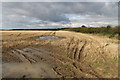 SK9424 : Muddy Field near Firs Farm by J.Hannan-Briggs