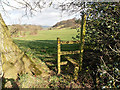 Old stile and barbed wire