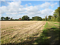 Footpath along a field