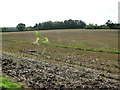 Harvested field by Flordon Hall