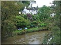 River Tamar near Gunnislake