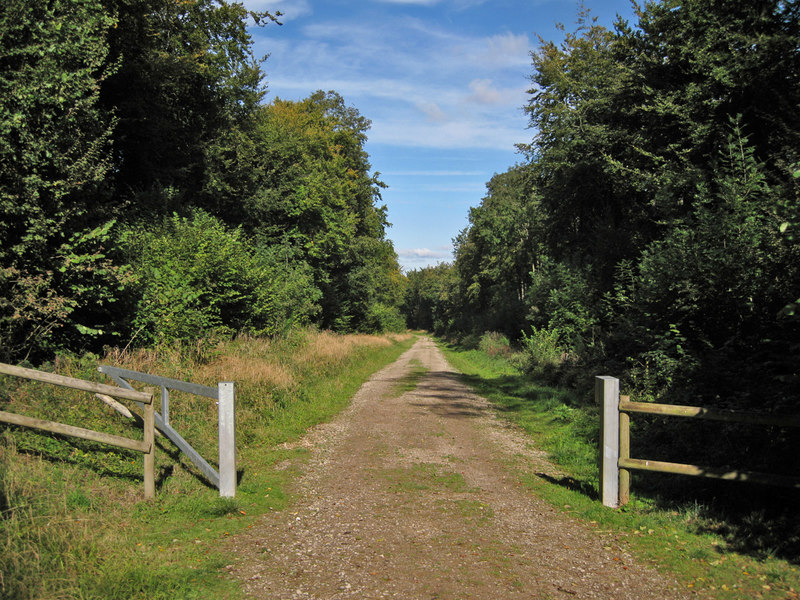 Track in Farley Mount Country Park © Richard Dorrell cc-by-sa/2.0 ...