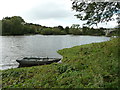 River Tweed and Salmon angler