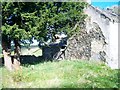 Ruined farmhouse at the edge of the forest