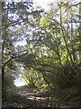 Path on Putney Heath