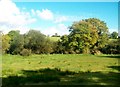 Farmland east of  Crawfordstown Road