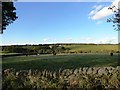 View north towards Sunniside Farm