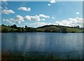 Drumlins on the southern shore of Loughinisland Lake