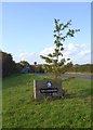 Killamarsh village sign on Green Lane