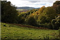 View over the forest to the Wye valley