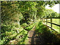 Looking east on the Boodle Wood top path