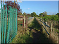 Footpath, Laleham