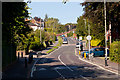 Looking up Stanmore Lane