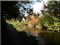 Colours on Montgomery Canal