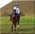 Horse and Rider Wales