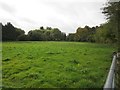 Field, Quidhampton