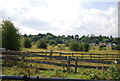 Farmland south of Canewdon Rd