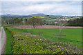 Towards Argoed Farm