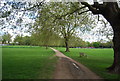 Path, Peckham Rye Common