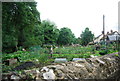 Allotments, Shere