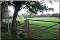 Path to the Swanbourne Road