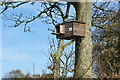 A very posh bird box