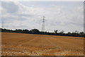 Pylon in a field