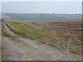 Track to Wringate Farm near North Creake