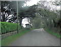 Maenporth Road passes Trelawne Hotel entrance