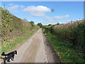 The lane to the Atterley Farms